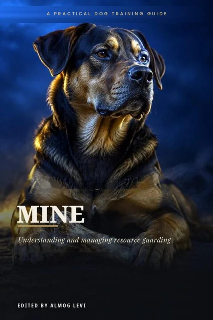 Mine