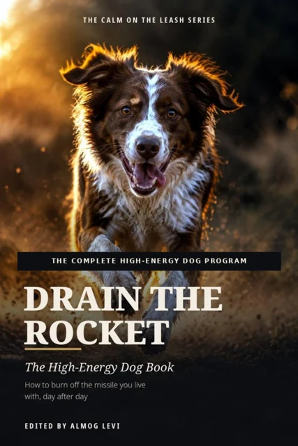 Drain the Rocket