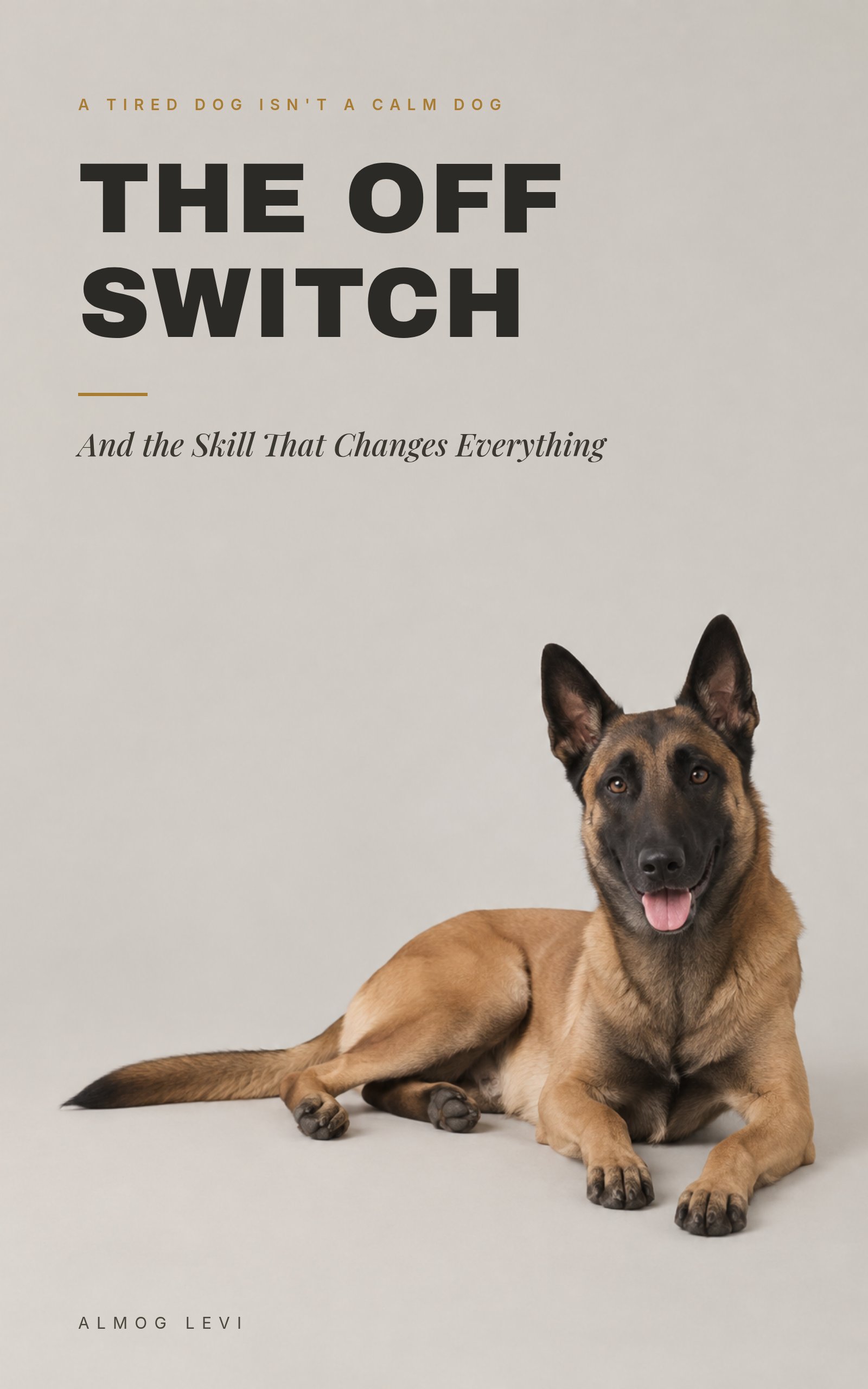 The Off Switch cover