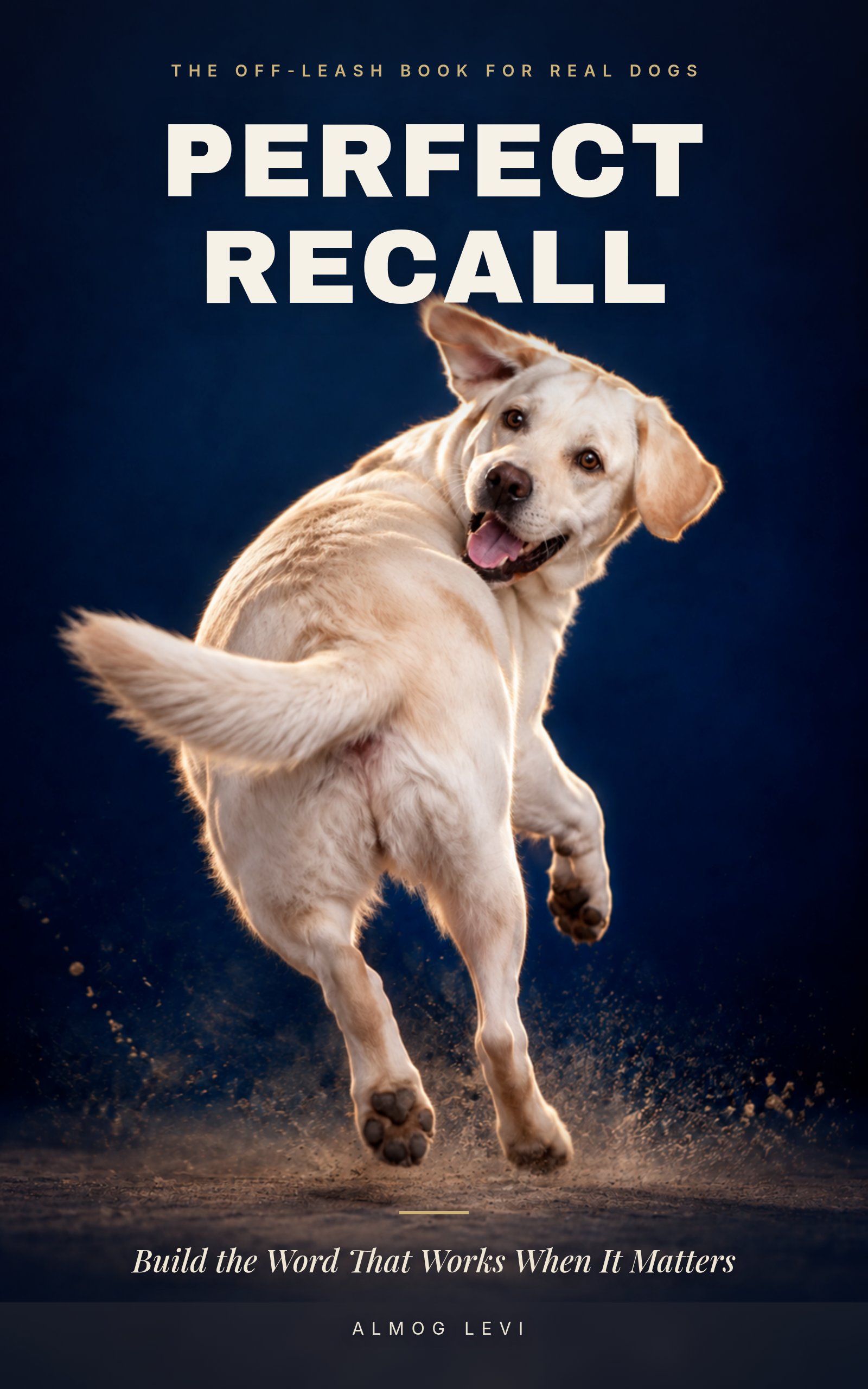 Perfect Recall cover