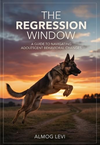 The Regression Window cover