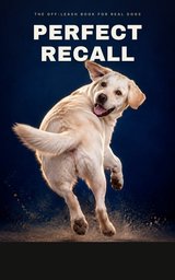 Perfect Recall cover
